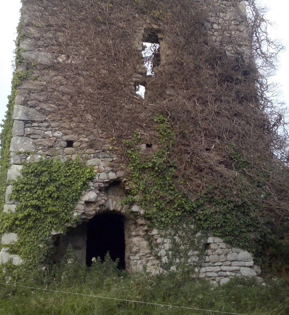 Mountgarrett Castle, New Ross, Ireland, Ireland